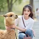 无锡旅游 缩略图 4