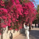 昆明旅游 缩略图 7