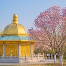 南京旅游 缩略图 5