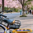 无锡旅游 缩略图 4