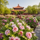 无锡旅游 缩略图 6