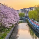 上海旅游 缩略图 9