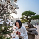 上海旅游 缩略图 2