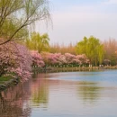 上海旅游 缩略图 4