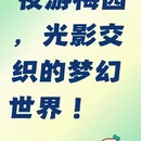上海旅游 缩略图 1