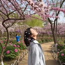 北京旅游 缩略图 2
