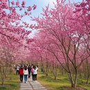 上海旅游 缩略图 2