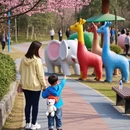 无锡旅游 缩略图 9