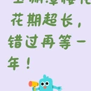 北京旅游 缩略图 1