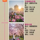 无锡旅游 缩略图 2
