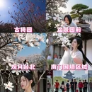 上海旅游 缩略图 1