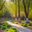北京旅游 缩略图 6