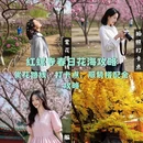 北京旅游 缩略图 1