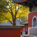 北京旅游 缩略图 7