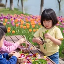 南京旅游 缩略图 9