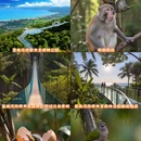 三亚旅游 缩略图 1