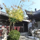 扬州旅游 缩略图 5