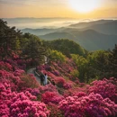 平顶山旅游 缩略图 2