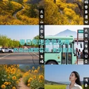 济南旅游 缩略图 1