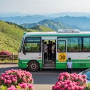 平顶山旅游 缩略图 6