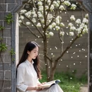 扬州旅游 缩略图 3