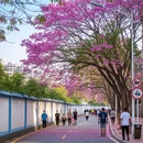 福州旅游 缩略图 9
