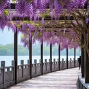 福州旅游 缩略图 8