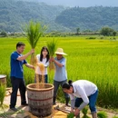 南京旅游 缩略图 7