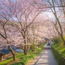 杭州旅游 缩略图 7