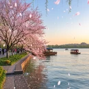 杭州旅游 缩略图 4