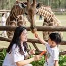 广州旅游 缩略图 5