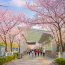 上海旅游 缩略图 5