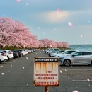 上海旅游 缩略图 4