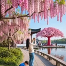 苏州旅游 缩略图 2