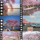 上海旅游 缩略图 1