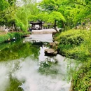 拙政园 - 苏州旅游 缩略图 9