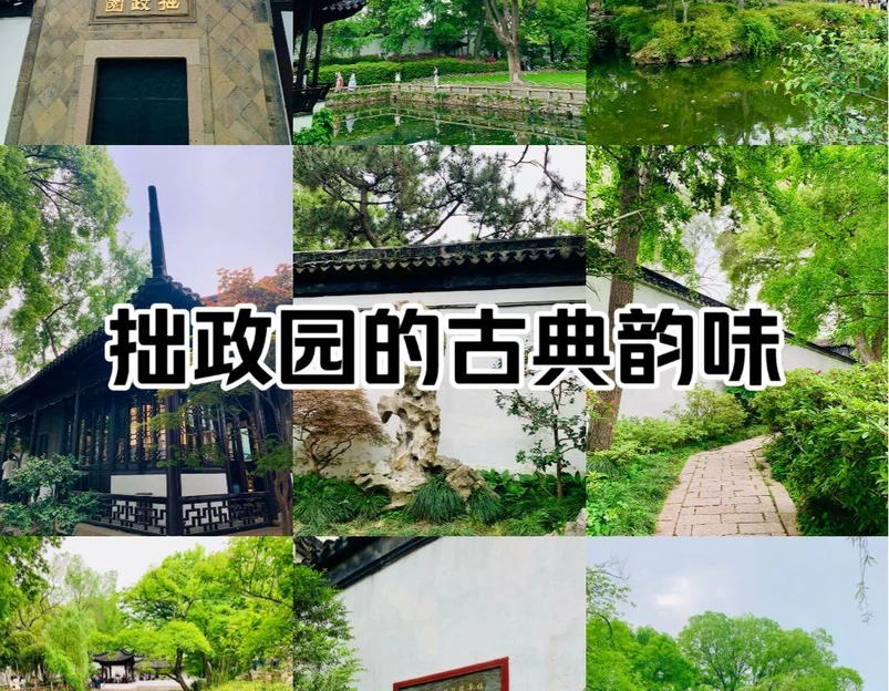 拙政园 - 苏州旅游 1