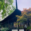拙政园 - 苏州旅游 缩略图 3