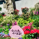 拙政园 - 苏州旅游 缩略图 2