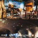 吉安市博物馆 - 吉安市旅游 缩略图 4