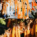 上饶市三清山风景名胜区 - 上饶市旅游 缩略图 9