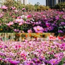 湛江金沙湾 - 湛江市旅游 缩略图 5