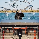 银川南门广场 - 银川市旅游 缩略图 6