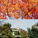 青岛栈桥 - 青岛市旅游 缩略图 6