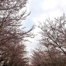 贵阳旅游 缩略图 4