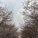 贵阳旅游 缩略图 5