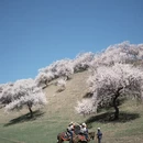 伊犁旅游 缩略图 8