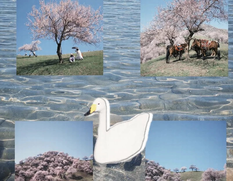 伊犁旅游 1