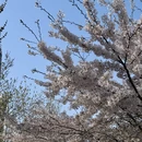 青岛旅游 缩略图 2