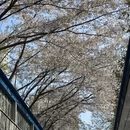 青岛旅游 缩略图 4